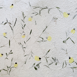 Kozo-papier met bloemen - Gele maskerbloem