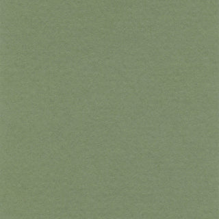 LanaColours gekleurd papier - Groen