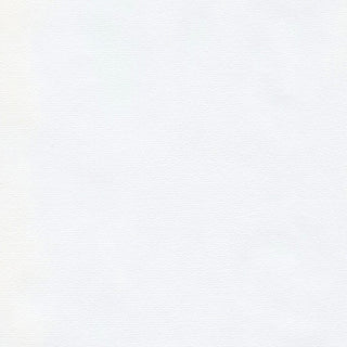 Hahnemühle - Ingres pastel - per vel - 48 x 62,5 cm, helder wit