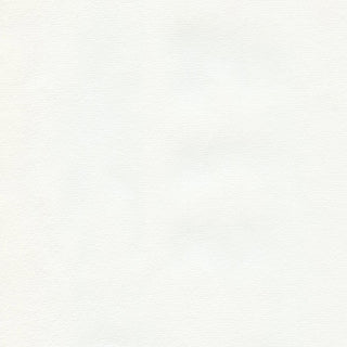 Hahnemühle - Ingres pastel - per vel - 48 x 62,5 cm, natuurwit