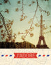 Kaartenset - Paris Eco Writers's Notecards - set van 12